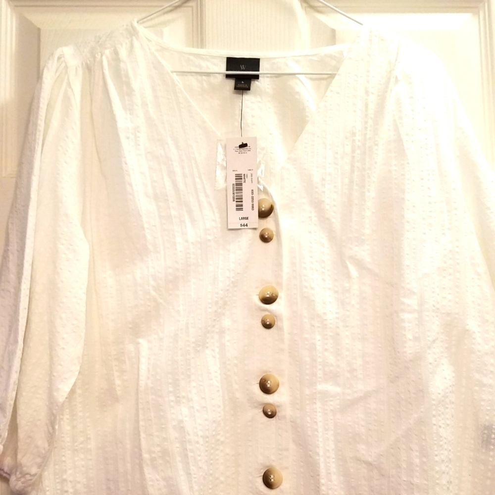 Long balloon sleeve